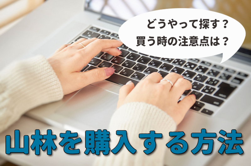 インターネット